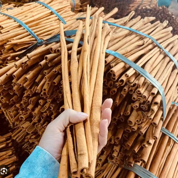 Kayu Manis Cassia